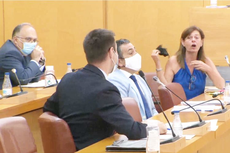 deu-verdejo-rontome-gaitan-pleno