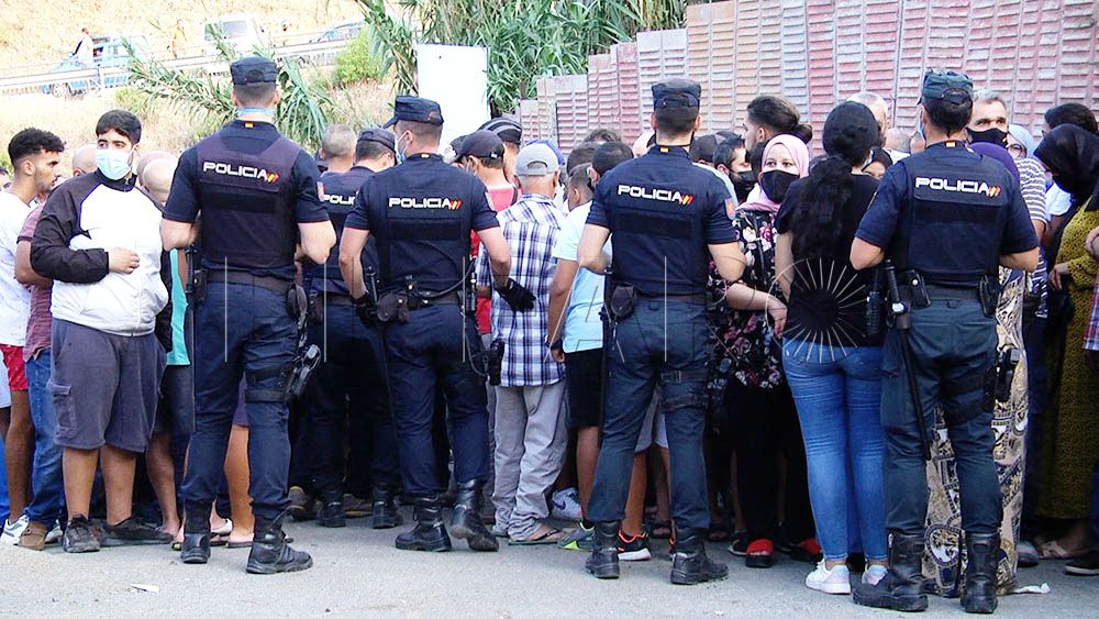 escasez-cordero-10