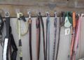 perros-protectora-animales-18