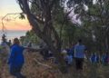amanecer-scout-1