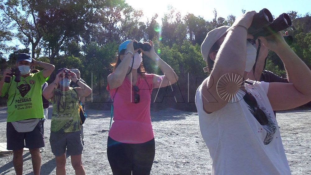 aves-avistamiento-14