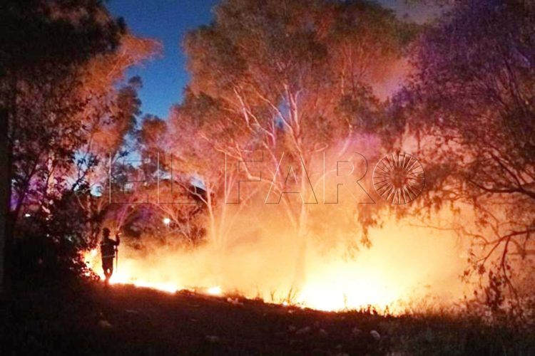 bomberos-incendio-monte