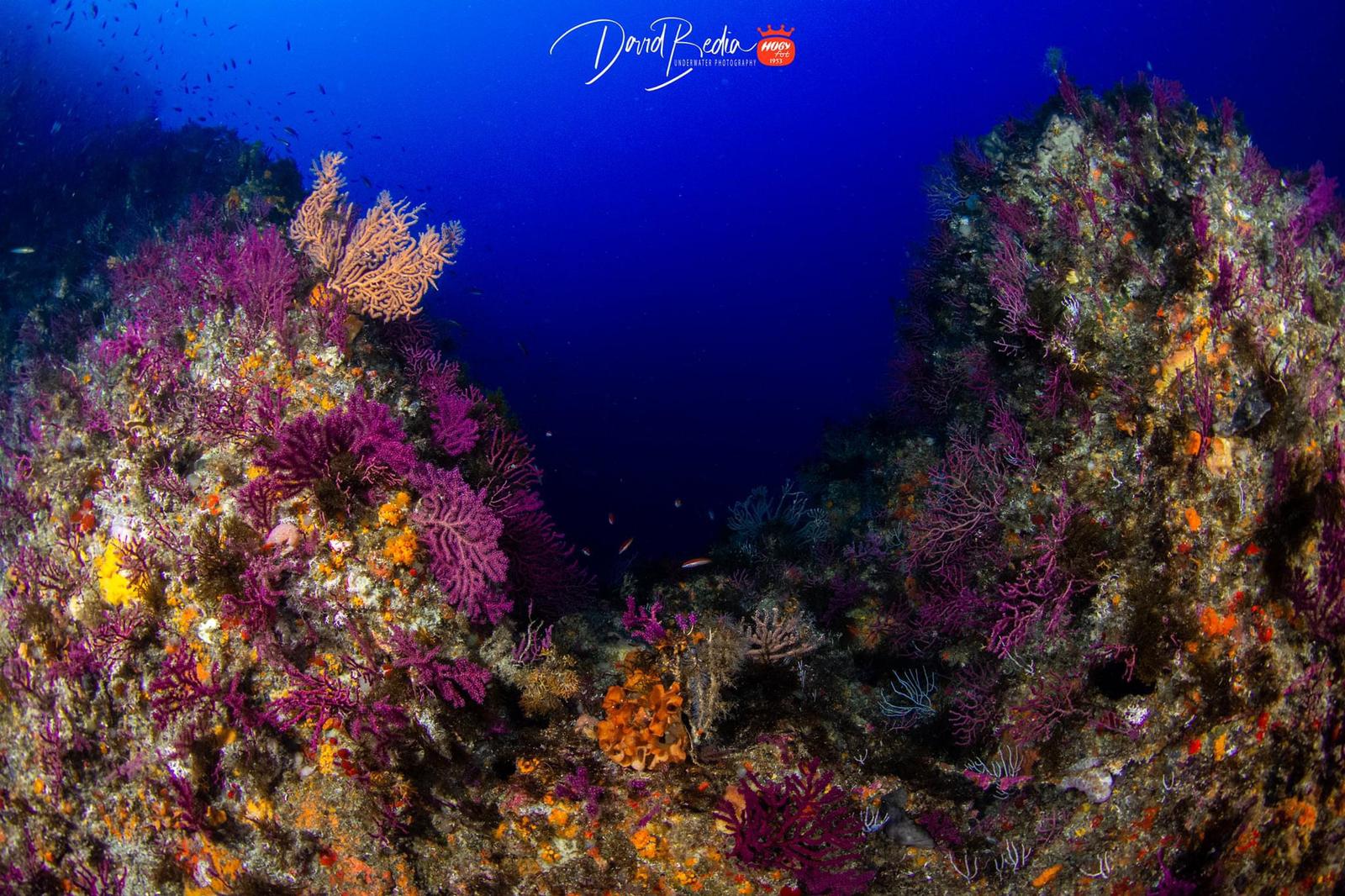 fotografias-buceo-burbujas-1