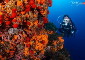 fotografias-buceo-burbujas-2