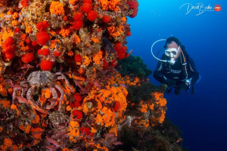 fotografias-buceo-burbujas-2