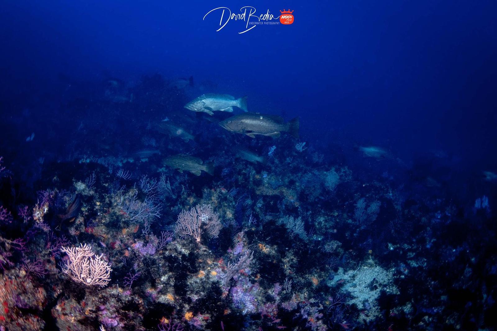fotografias-buceo-burbujas-3