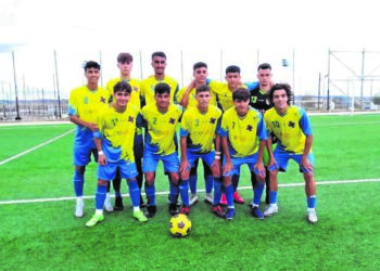 cd-polillas