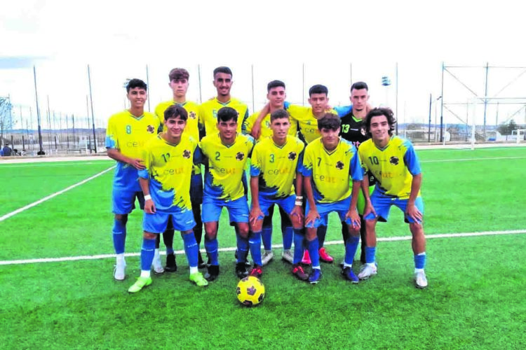 cd-polillas