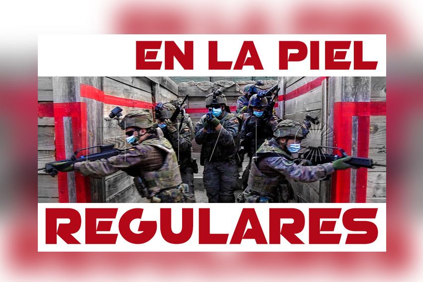 piel-regulares-3