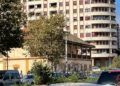 arbol-caido-avenida-españa-001