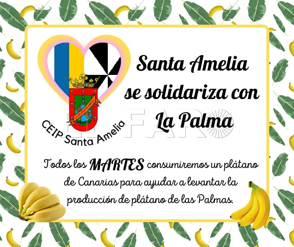 cartel-solidaridad-la-palma
