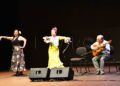 festival-amigos-flamenco29