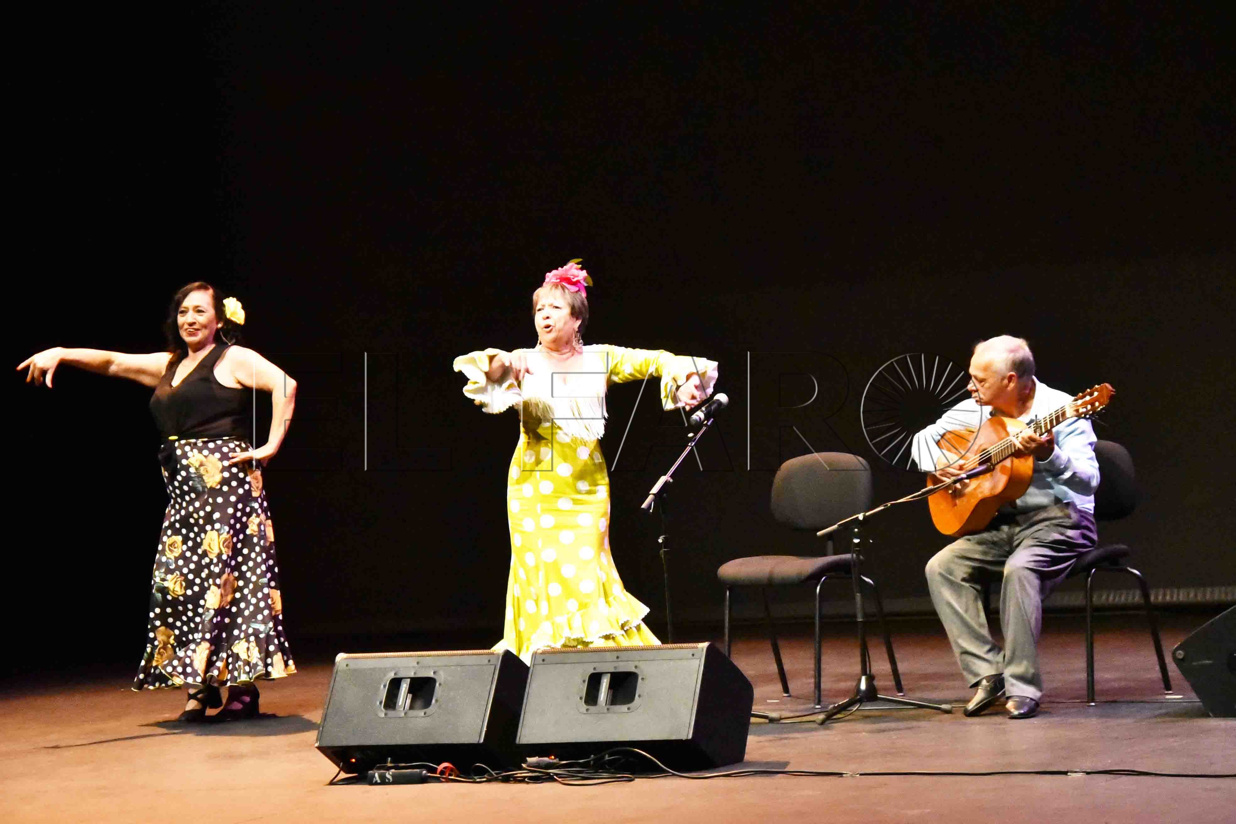 festival-amigos-flamenco29