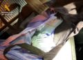 guardia-civil-detiene-8000-comprimidos4