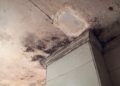 humedades-vivienda-rosales--012