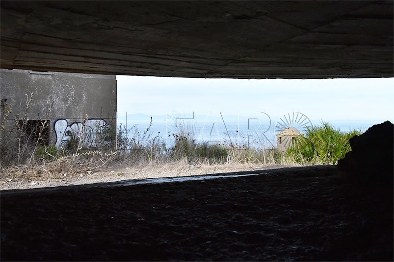 monte-tortuga-1