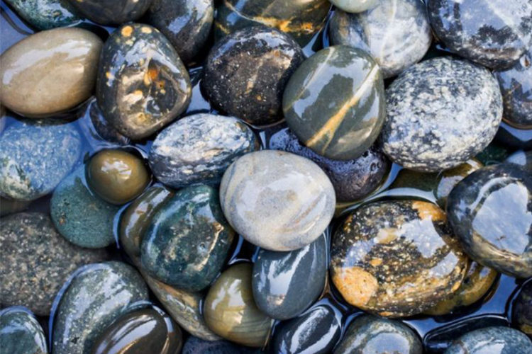 piedras