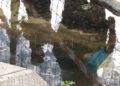 plaza-constitucion-inundacion-5