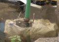 plaza-constitucion-inundacion-8