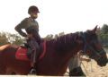 plena-inclusion-hipoterapia0