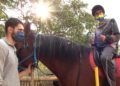 plena-inclusion-hipoterapia10