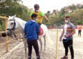 plena-inclusion-hipoterapia2
