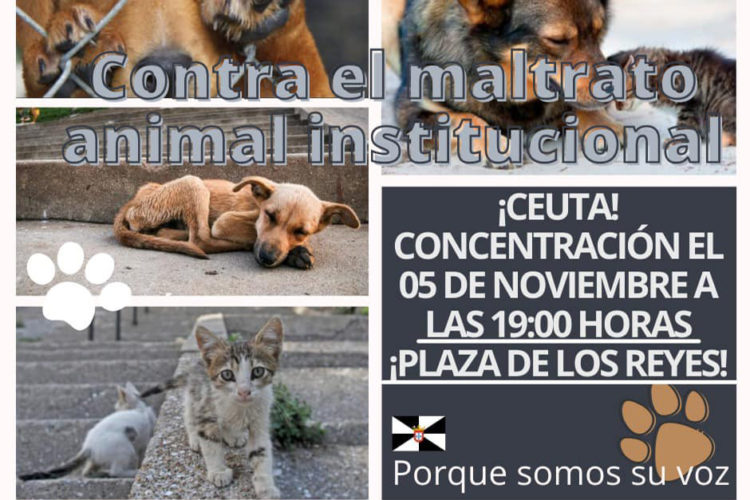 protesta-maltrato-animal
