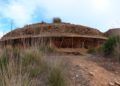 tortuga-monte--040