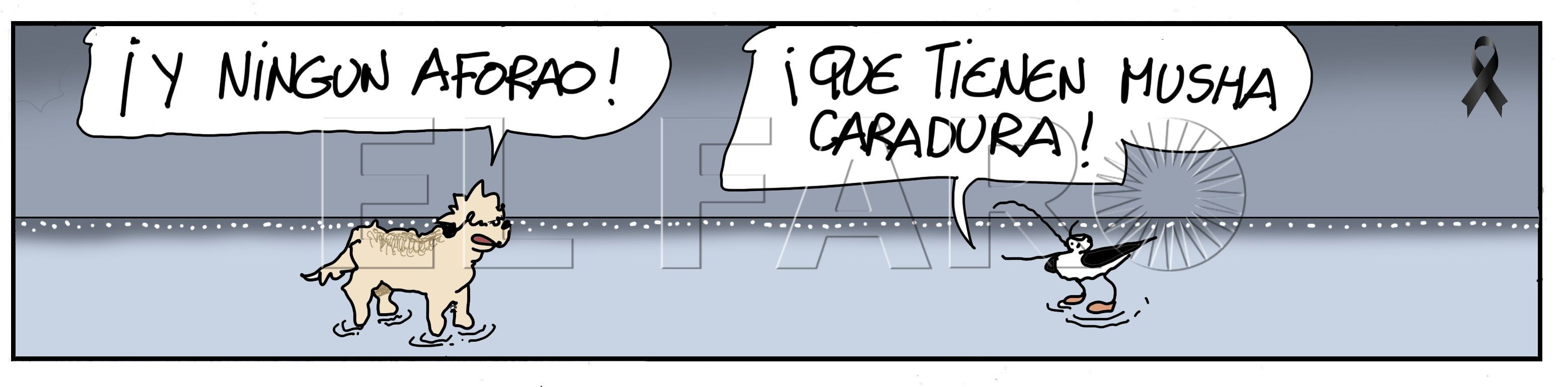 DomingoCOLOR