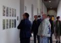 exposicion-comic-paco-roca-003