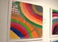 exposicion-proi-todo-color-012