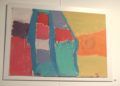 exposicion-proi-todo-color-014