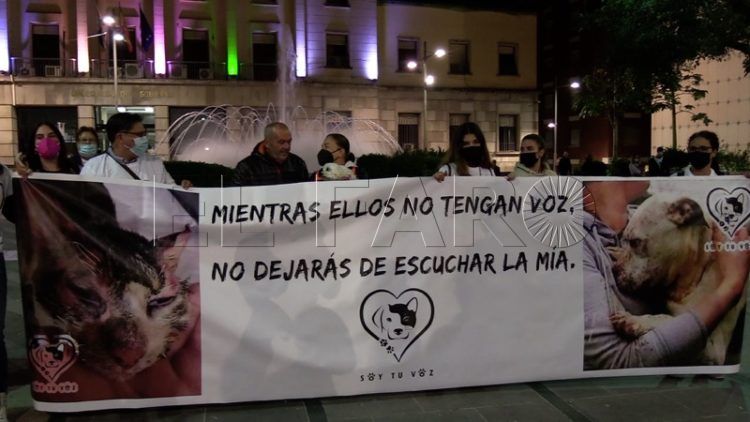 manifestacion-defensa-animales-010