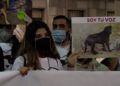 manifestacion-defensa-animales-012