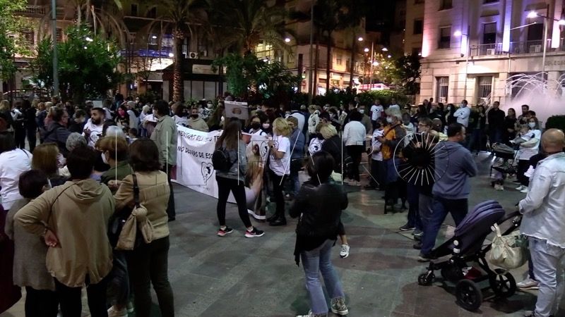 manifestacion-defensa-animales-019