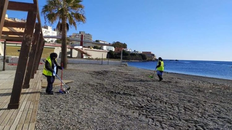 medio-ambiente-brigadas-verdes-limpieza-desinfeccion-001