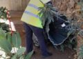 medio-ambiente-brigadas-verdes-limpieza-desinfeccion-003