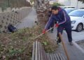 medio-ambiente-brigadas-verdes-limpieza-desinfeccion-006