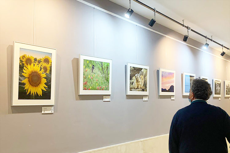 miradas-exposicion-sille-sanat-sarayi