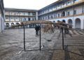 museo-mar-presentacion-esqueleto-ballena-002