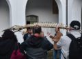 museo-mar-presentacion-esqueleto-ballena-014
