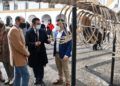 museo-mar-presentacion-esqueleto-ballena-025