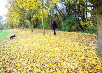 otoño