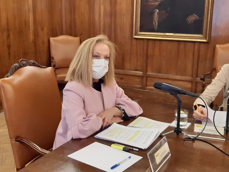 proyecto-presupuestos-directora-ingesa-002
