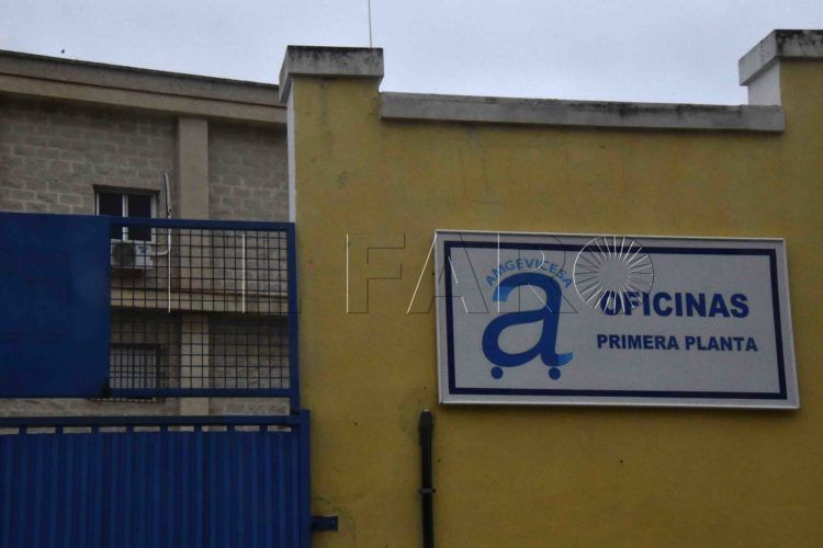 amgevicesa-oficinas
