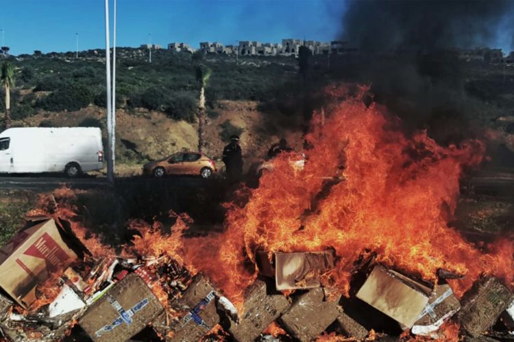 autoridades-tanger-destruyen-drogas-incautadas1