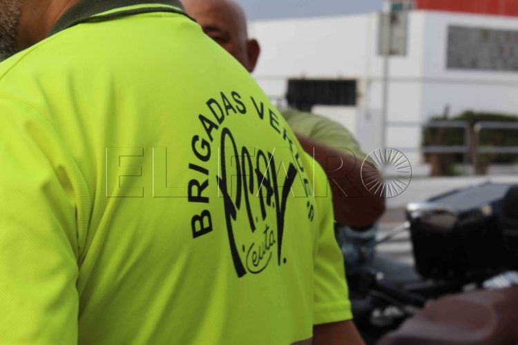 brigadas-verdes
