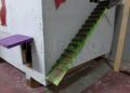 cobijo-sostenible-materiales-reciclados-gatos-callejeros-009