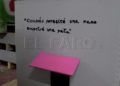 cobijo-sostenible-materiales-reciclados-gatos-callejeros-013