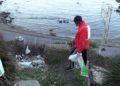 cruz-roja-ecoembes-recogida-basura-jaral-004